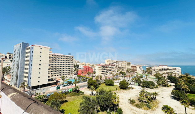 Wiederverkauf - Wohnung - Torrevieja - Cabo Cervera