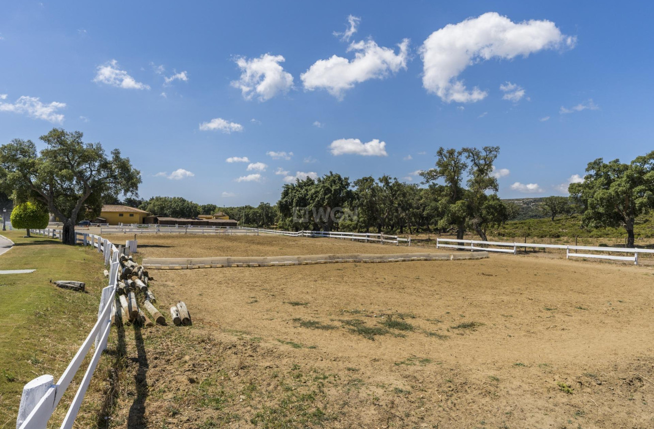 Nowy budynek - Mieszkanie w bloku - Sotogrande - San Roque Club