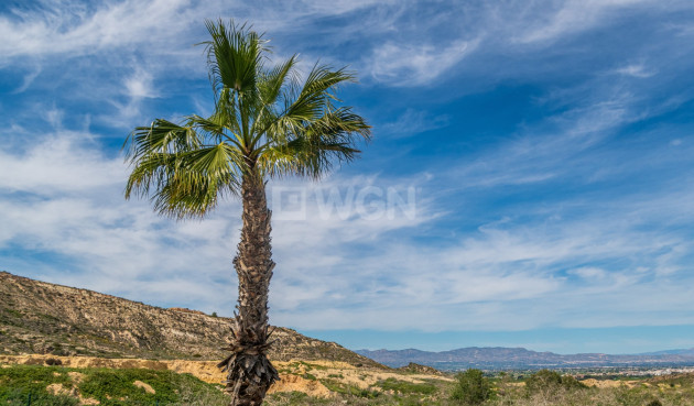 Resale - Apartment / flat - Algorfa - Inland