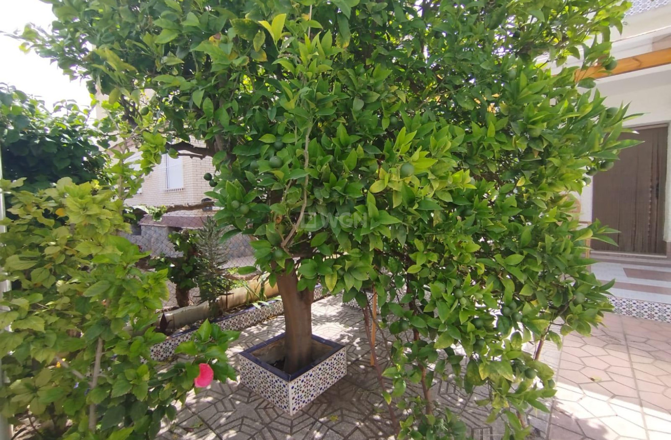 Wiederverkauf - Duplex - Santiago de la ribera - SANTIAGO DE LA RIBERA