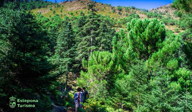 Nowy budynek - Mieszkanie w bloku - Estepona - Playa de La Rada