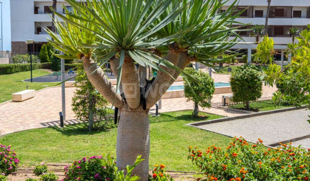 Wiederverkauf - Wohnung - Orihuela Costa - Costa Blanca