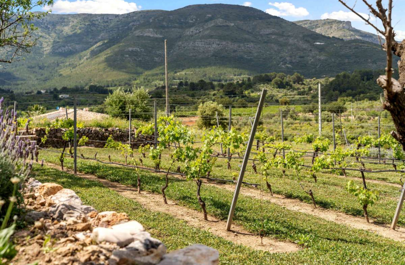 Odsprzedaż - Villa - Murla - Inland