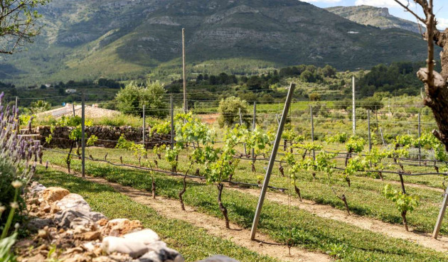 Odsprzedaż - Villa - Murla - Inland