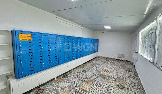 Reventa - Adosado - Torrevieja - Costa Blanca