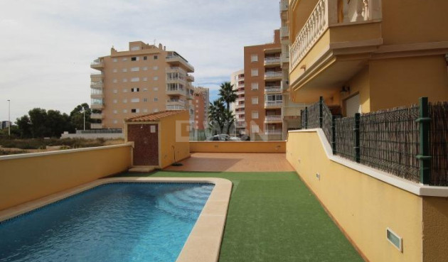 Reventa - Apartamento / piso - Guardamar del Segura - Puerto Deportivo