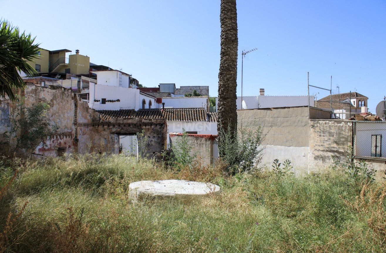 Resale - Plot / Land - Vélez-Málaga - Costa del Sol