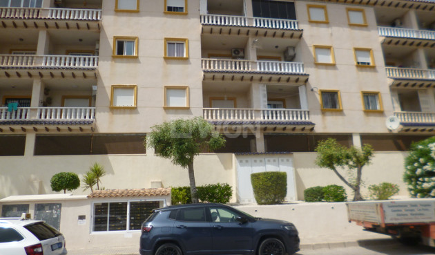 Wiederverkauf - Wohnung - Playa Flamenca - Costa Blanca