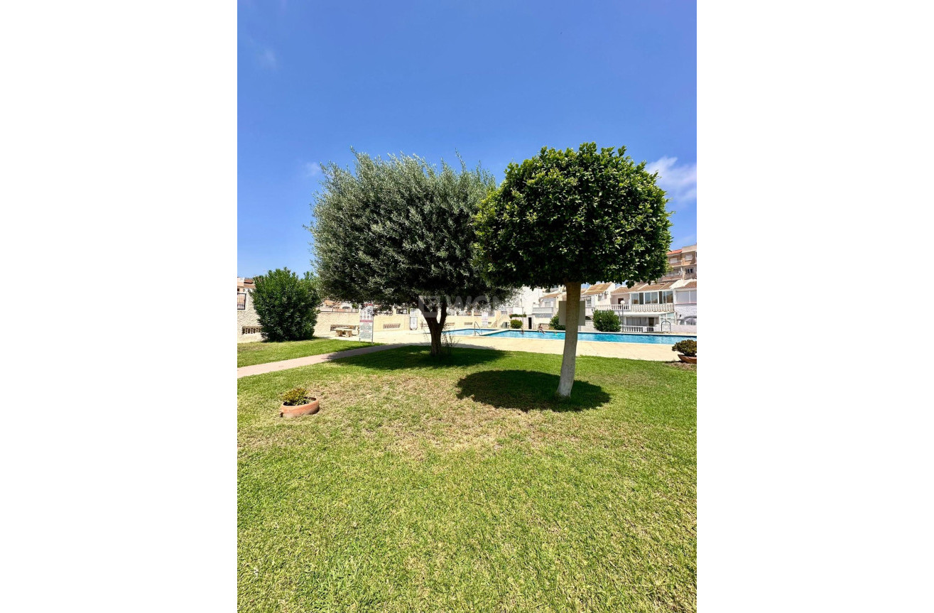 Wiederverkauf - Bungalow - Torrevieja - aguas nuevas