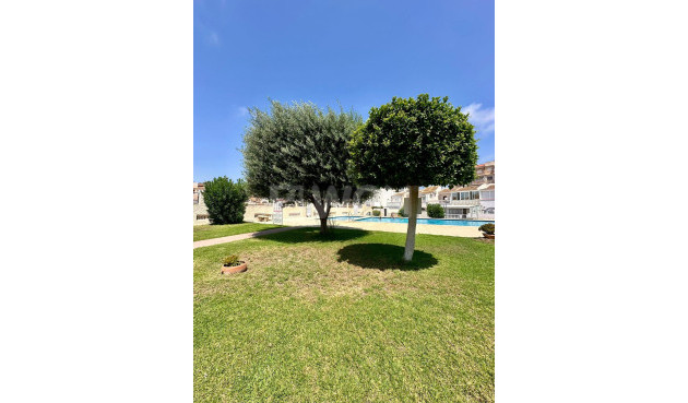Wiederverkauf - Bungalow - Torrevieja - aguas nuevas