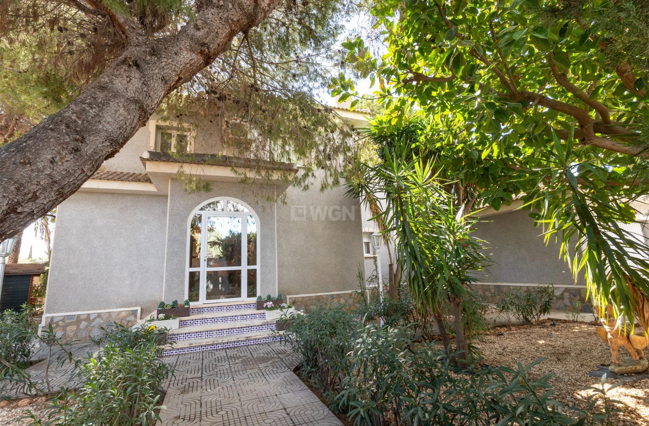 Odsprzedaż - Villa - Ciudad Quesada - Ciudad Quesada - Doña Pepa