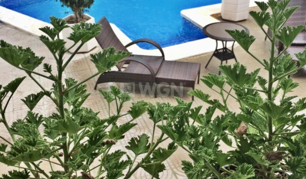 Odsprzedaż - Villa - Ciudad Quesada - Ciudad Quesada - Doña Pepa