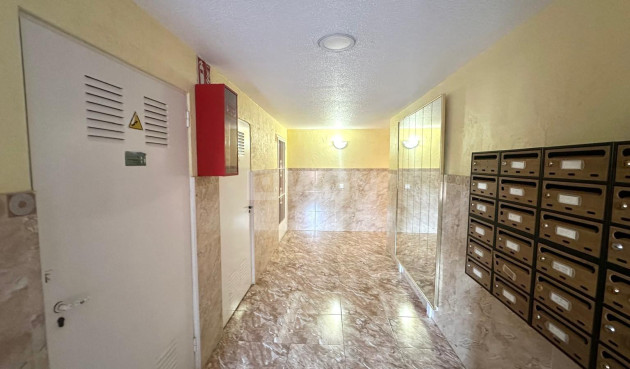 Reventa - Apartamento / piso - Torrevieja - Acequion