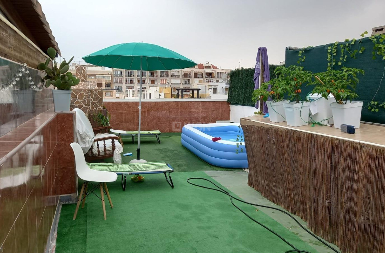 Wiederverkauf - Penthouse - Torrevieja - Centro