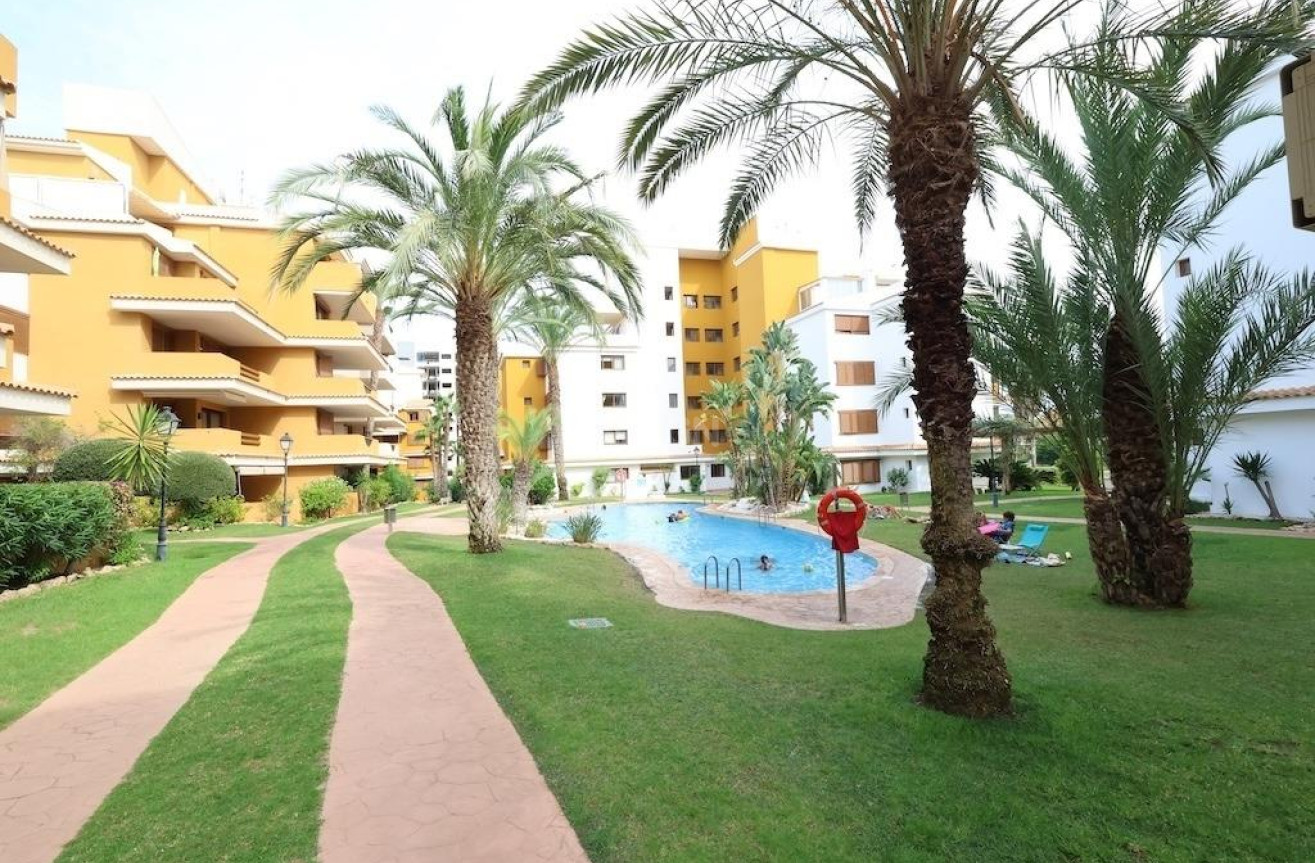 Reventa - Ático - Torrevieja - Costa Blanca