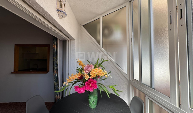 Odsprzedaż - Mieszkanie w bloku - Torrevieja - Centro