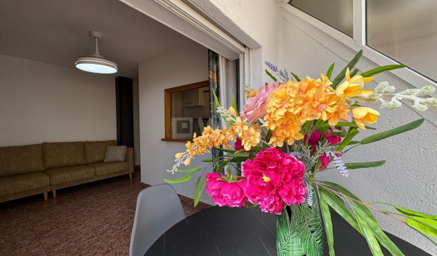 Odsprzedaż - Mieszkanie w bloku - Torrevieja - Centro