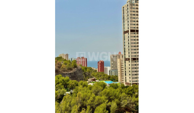 Odsprzedaż - Mieszkanie w bloku - Benidorm - Costa Blanca