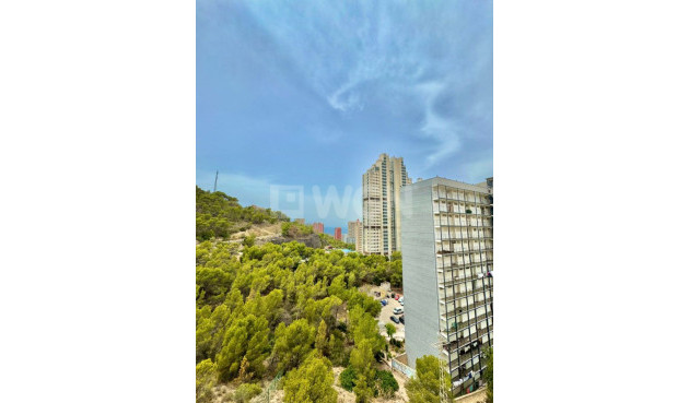 Odsprzedaż - Mieszkanie w bloku - Benidorm - Costa Blanca
