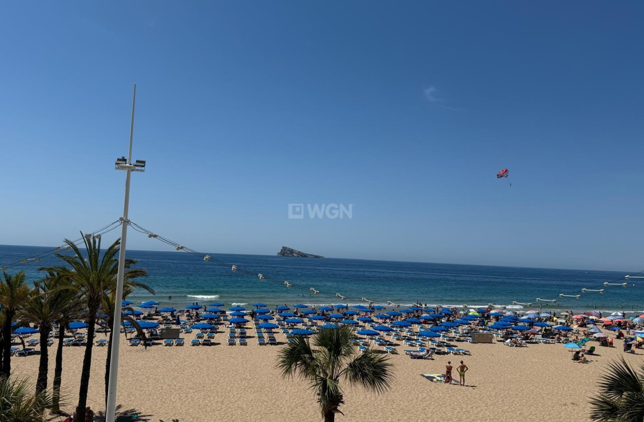 Odsprzedaż - Mieszkanie w bloku - Benidorm - Costa Blanca