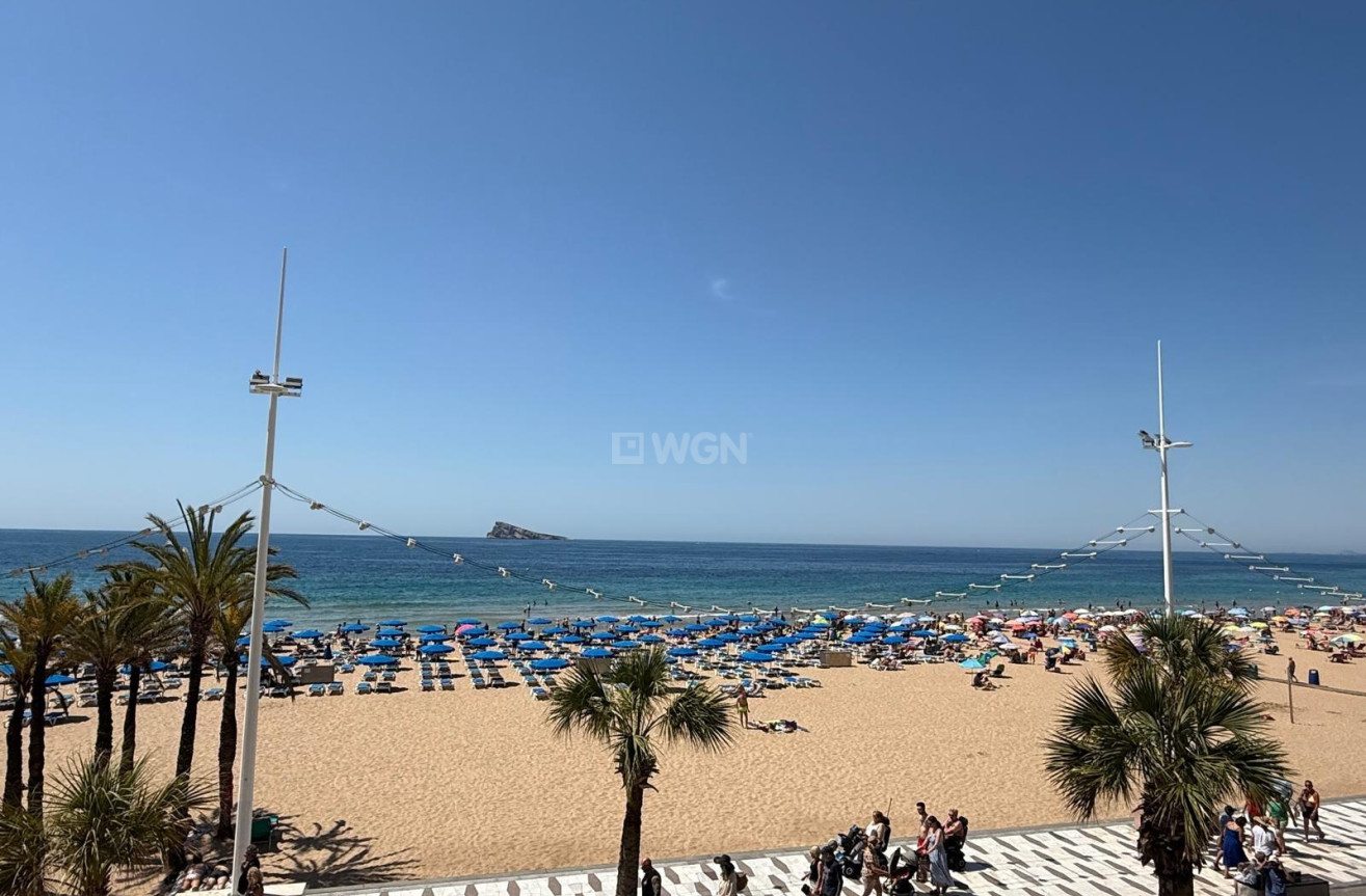 Odsprzedaż - Mieszkanie w bloku - Benidorm - Costa Blanca