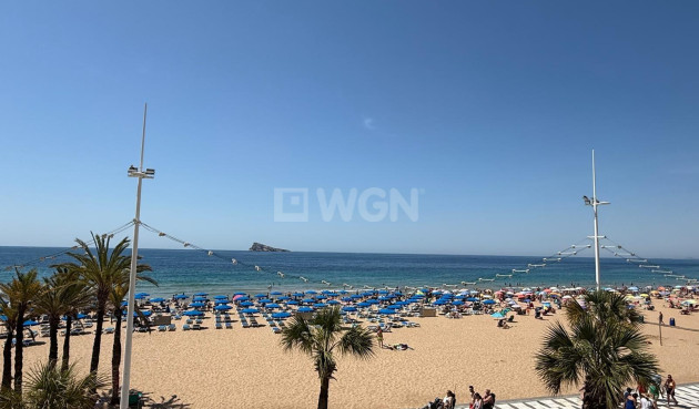 Odsprzedaż - Mieszkanie w bloku - Benidorm - Costa Blanca