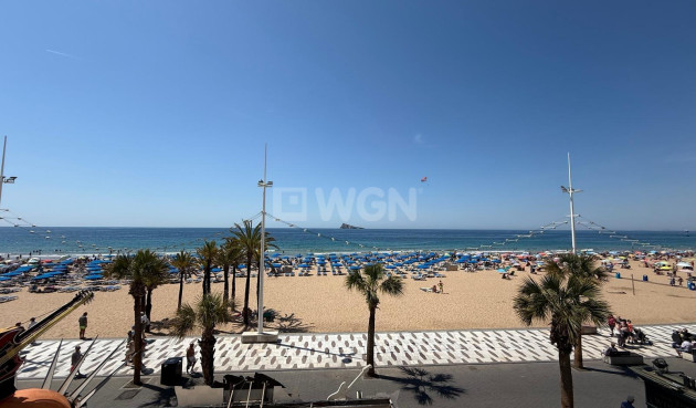 Odsprzedaż - Mieszkanie w bloku - Benidorm - Costa Blanca