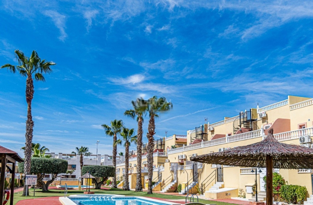 Odsprzedaż - Mieszkanie w bloku - Orihuela Costa - Costa Blanca