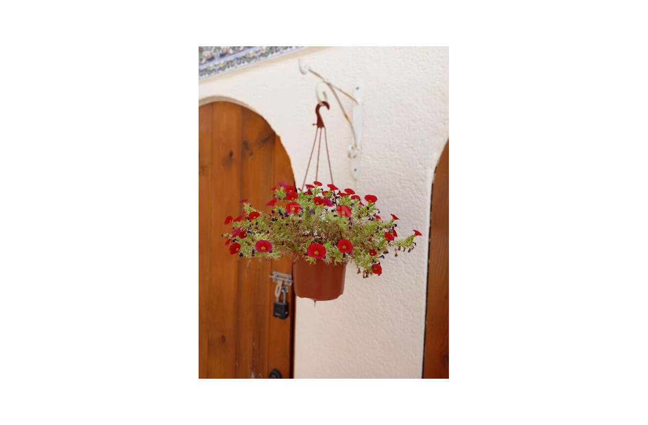 Odsprzedaż - Villa - Villamartin - Costa Blanca