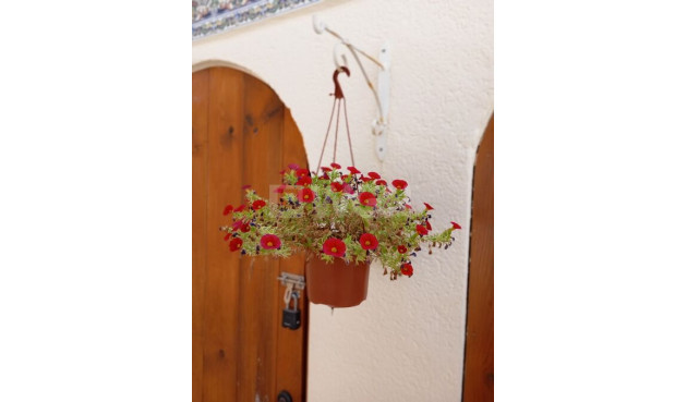 Odsprzedaż - Villa - Villamartin - Costa Blanca