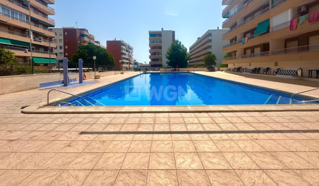 Odsprzedaż - Mieszkanie w bloku - Torrevieja - Punta Prima