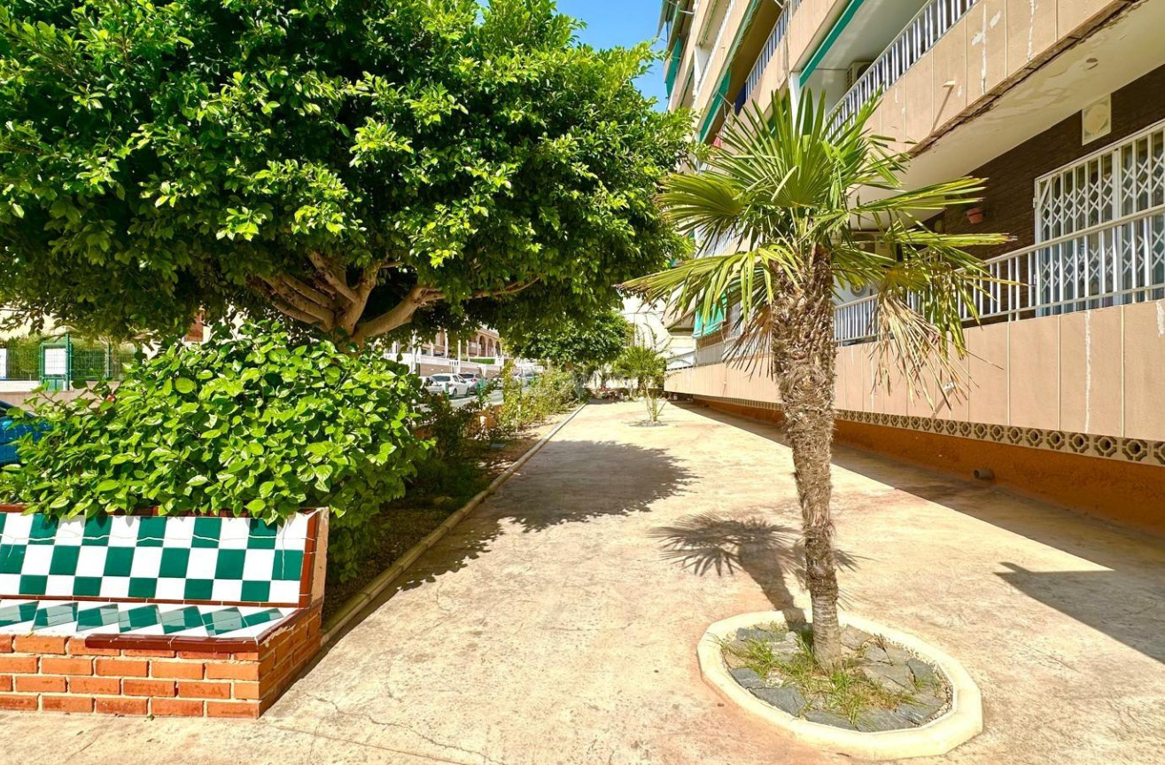 Odsprzedaż - Mieszkanie w bloku - Torrevieja - Punta Prima