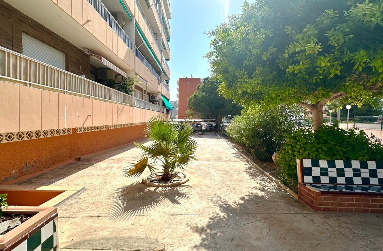 Odsprzedaż - Mieszkanie w bloku - Torrevieja - Punta Prima