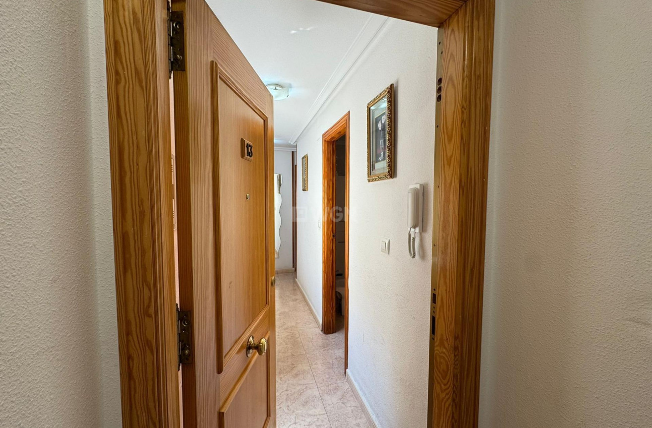 Reventa - Ático - Torrevieja - Estacion De Autobuses