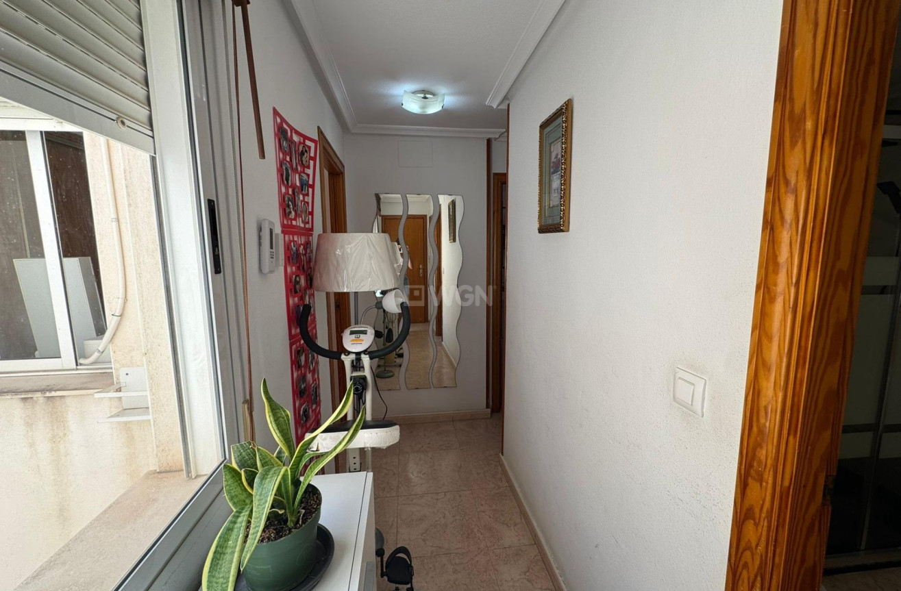 Reventa - Ático - Torrevieja - Estacion De Autobuses