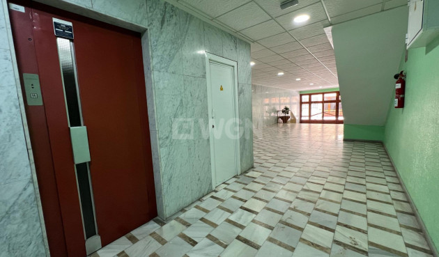 Wiederverkauf - Wohnung - Torrevieja - El Acequión - Los Náufragos