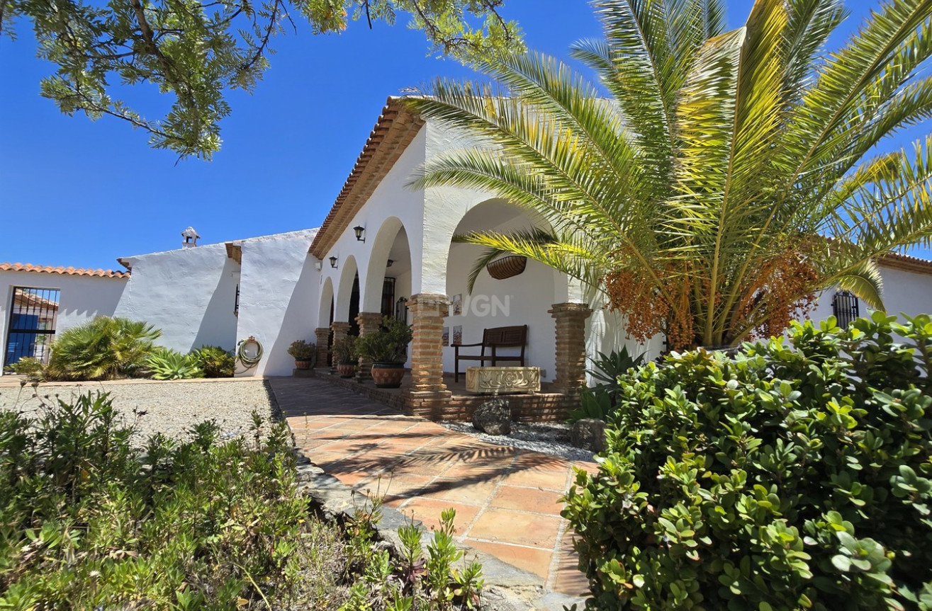 Odsprzedaż - Villa - Vinuela - Inland