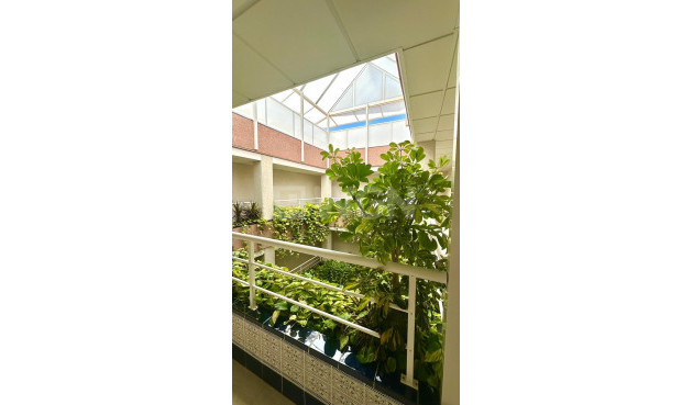 Reventa - Ático - Torrevieja - Centro