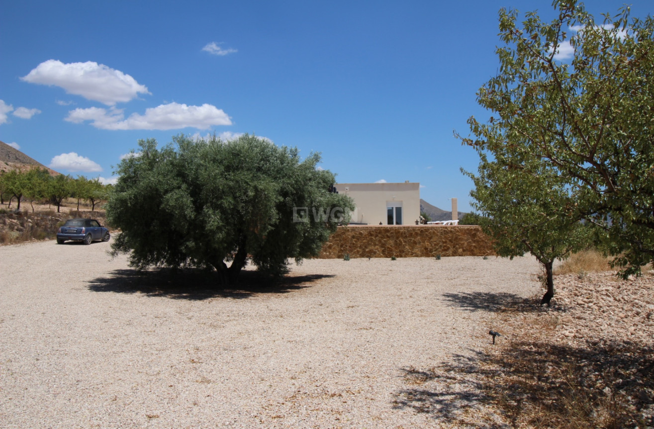 Odsprzedaż - Villa - Macisvenda - Inland