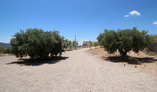 Odsprzedaż - Villa - Macisvenda - Inland