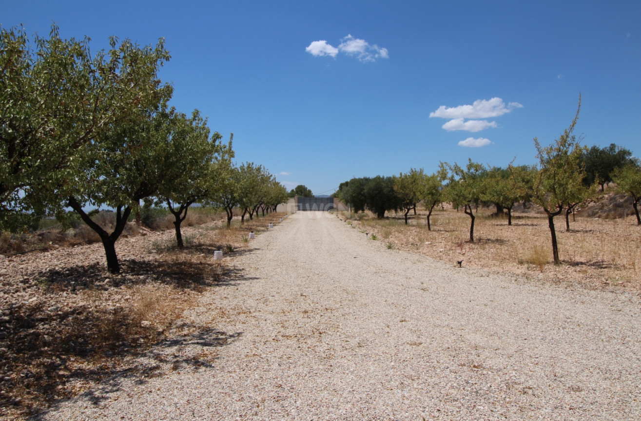 Odsprzedaż - Villa - Macisvenda - Inland