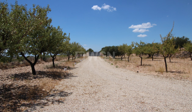 Odsprzedaż - Villa - Macisvenda - Inland