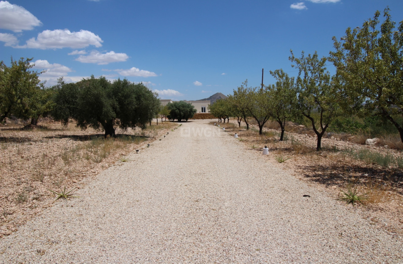 Odsprzedaż - Villa - Macisvenda - Inland