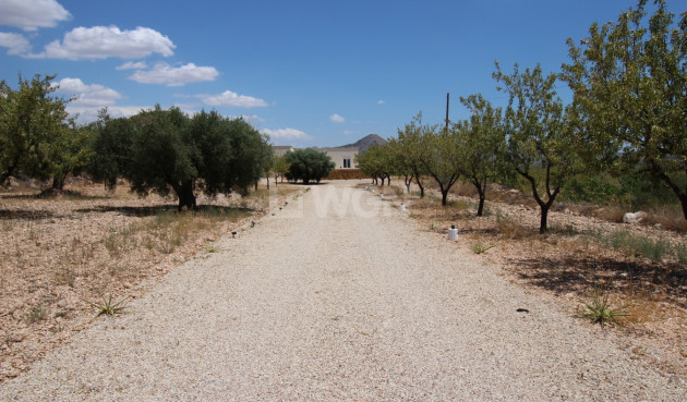 Odsprzedaż - Villa - Macisvenda - Inland