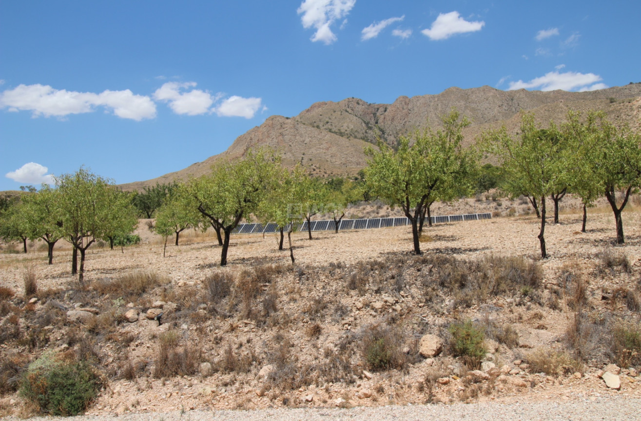 Odsprzedaż - Villa - Macisvenda - Inland