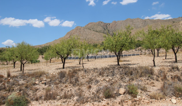Odsprzedaż - Villa - Macisvenda - Inland