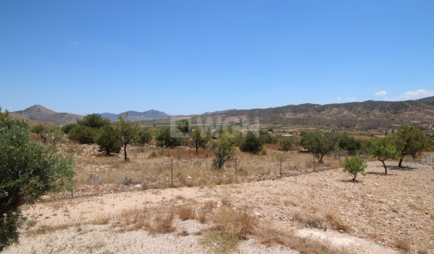 Odsprzedaż - Villa - Macisvenda - Inland