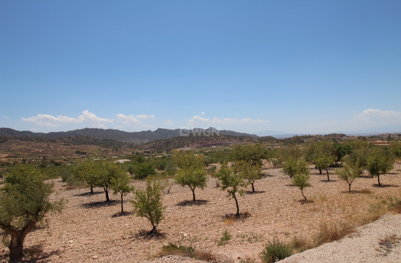 Odsprzedaż - Villa - Macisvenda - Inland