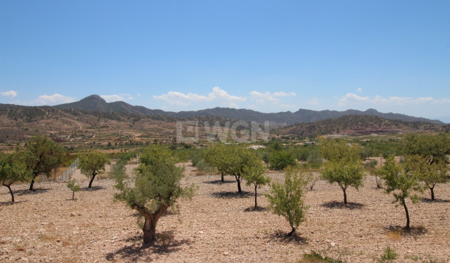 Odsprzedaż - Villa - Macisvenda - Inland