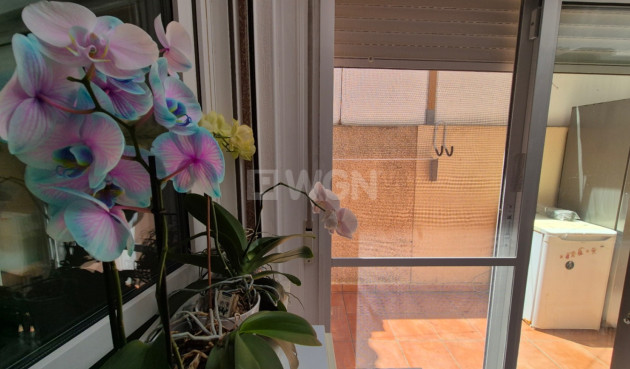 Reventa - Adosado - Torrevieja - Costa Blanca